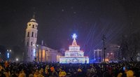 Vilniuje įžiebta Kalėdų eglutė (nuotr. Fotodiena.lt)