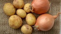 Bulvės ir svogūnai  (nuotr. Shutterstock.com)