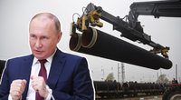 Kai kurių NATO šalių veiksmai glumina: „Gaila, bet Putino Rusija labai sėkmingai eksportavo korupciją“ (tv3.lt koliažas)