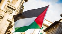 Palestinos vėliava (nuotr. Fotolia.com)