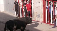 Ispanijoje ir vėl surengtas tradicinis bėgimas nuo bulių: šventės sugrįžimu džiaugiasi ne visi (nuotr. stop kadras)