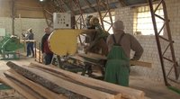Lietuvos medienos pramonę ištiko krizė (nuotr. stop kadras)