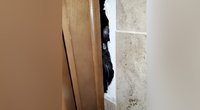 Po santechnikų apsilankymo – šeimininkų šokas: katę įkalino vonios sienoje (nuotr. stop kadras)