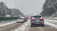 Sniegas Vilniuje (nuotr. tv3.lt)