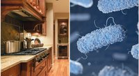 Įspėja išplauti 1 daiktą namuose: jis gali būti tikra bakterijų veisykla  (nuotr. 123rf.com)