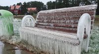 Gamtos ledo skulptūros Nidoje (nuotr. Nidos gyventojos)  