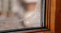 Atsikratykite kondensato ant langų: štai, kas padės (Nuotr. 123rf.com)  