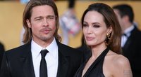Angelina Jolie ir Bradas Pittas (nuotr. Vida Press)