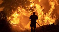 Graikijoje siaučia gaisrai. (nuotr. SCANPIX)