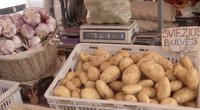 Bulvės (nuotr. stop kadras)