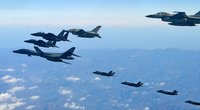 Amerikiečių naikintuvas „F-22“ (nuotr. SCANPIX)