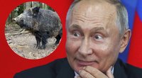 Šernas ir Putinas (tv3.lt fotomontažas)