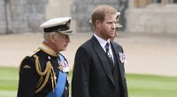 Princas Harry planuoja aplankyti savo tėvą karalių Karolį III, išgirdusį vėžio diagnozę  (nuotr. SCANPIX)