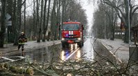 Ugniagesiai šalina audros padarinius (Erikas Ovčarenko/ BNS nuotr.)
