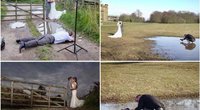 Vestuvių fotografai gali padaryti viską dėl tobulo kadro (nuotr. facebook.com)