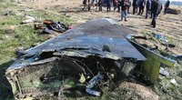 Irane numuštas lėktuvas  (nuotr. SCANPIX)