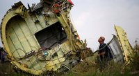 Ukrainos prezidentas reikalauja MH17 lainerio numušimo kaltininkų atsakomybės  