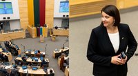 Opozicija kaltina valdančiuosius, kad praskolins Lietuvą: biudžeto išlaidos auga sparčiau nei pajamos (tv3.lt koliažas)