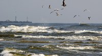 Baltijos jūra, asociatyvi nuotrauka (nuotr. Fotodiena.lt)