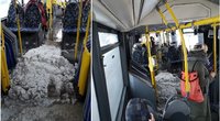 Sniegas autobuse (nuotr. skaitytojo)