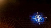 Lietuvos įstojimo į NATO 19-ųjų metinių proga vyks minėjimas, atidaroma paroda (Žygimantas Gedvila/ BNS nuotr.)
