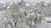 Lietuvą padengė sniego sluoksnis (nuotr. Orai ir klimatas Lietuvoje/„Facebook“)  