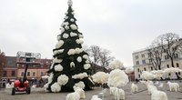 Parodė, kaip atrodys Kauno kalėdinė eglė (Teodoras Biliūnas/Fotobankas)