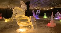 Taujėnų dvare – įspūdingos ledo skulptūros: kai kurios siekia net kelis metrus (nuotr. stop kadras)