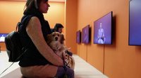 Atėnų šiuolaikinio meno muziejus priėmė neįprastą sprendimą – leido atsivesti šunis: „Smagu, kad galime tuo dalintis“ (nuotr. stop kadras)