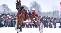 Dusetose vyksta tradicinės ristūnų žirgų lenktynės „Sartai 2018“ (nuotr. Vytauto Pilkausko)