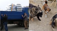 Lietuviai per kelias dienas surinko įspūdingą sumą Ukrainos gyvūnams: nupirko 6 tonas maisto (tv3.lt koliažas)