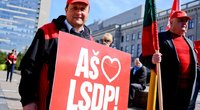 Lietuvos socialdemokratų partija (nuotr. Fotodiena.lt)