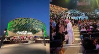 Dubajuje vykęs OVO šou  (tv3.lt fotomontažas)