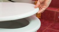 Jokiu būdu nepalikite atidaryto tualeto dangčio: gresia liūdnos pasekmės (Nuotr. shutterstock.com)  