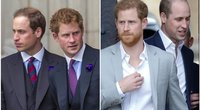 Ekspertas įvertino princo Harry ir Williamo santykius: vienam iš brolių trūko kantrybė  (nuotr. tv3.lt)