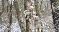 Miško glūdumoje aptiko siaubo filmą primenančią vietą: medžius puošė purvinos lėlės (nuotr. stop kadras)