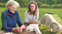 Moterys į Lietuvą pirmos atvežė Angoros ožkas: papasakojo, kuo jos tokios ypatingos (stop kadras)
