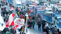 Į „Laisvės koloną“ susibūrę vairuotojai Kanadoje protestuoja prieš privalomus skiepus (nuotr. SCANPIX)