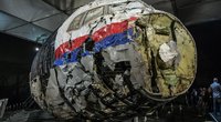 Tyrėjai: MH17 lėktuvas buvo numuštas virš Ukrainos rusų kariškių raketa (nuotr. SCANPIX)