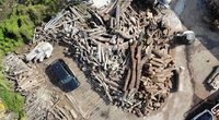 Atrado būdą, kaip išgelbėti kasdien išmetamą medieną: išsaugojo 300 tonų (nuotr. stop kadras)