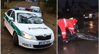 Rastas vairuotojas Tauragėje pražudęs ir gatvėje palikęs septynmetį (TV3 koliažas)  