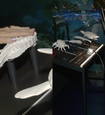 Lietuvos jūrų muziejus pritaikė naujovę: „Tai yra nuostabu“
