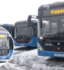 Naujovės Klaipėdoje – į gatves išriedės elektriniai autobusai: kelionės gali brangti