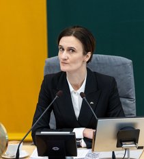 Griežta Čmilytės-Nielsen reakcija dėl rinkimų: nereikia vienos krizės spręsti sukeliant dar didesnę krizę