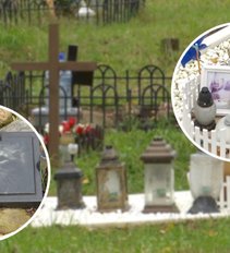 Vis labiau populiarėja gyvūnų kapinės: anapilin iškeliavusiam augintiniams pagerbti negaili tūkstančių