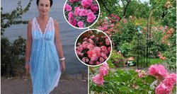63-ejų vilnietės Veronikos rožių sodas atima žadą: pažėrė vertingų patarimų