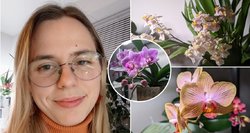 Jonaviškės orchidėjos atima žadą svečiams: išdavė auksinius patarimus