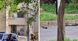 Padniestrėje – išpuolis prieš saugumo ministeriją: pastatas apšaudytas iš granatsvaidžio