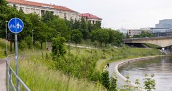 Žolė – iki pažastų: vilniečiai netveria pykčiu, o Vilniaus savivaldybė atsako, kodėl nešienauja