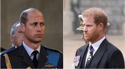 Princas Williamas ir Harry (nuotr. SCANPIX) tv3.lt fotomontažas